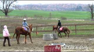 preview picture of video 'Big Oak Farm and Stables Outdoor Group Riding Lessons'