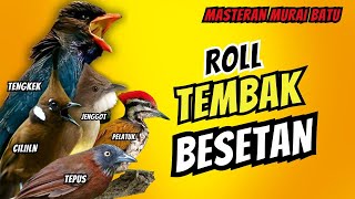 Download lagu Masteran Murai Batu Full Isian Tembakan Materi Mewah Untuk Burung Lomba mp3