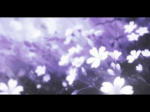 Dj Kayz feat Souf Beaute Tunisienne (Slowed + Reverb)