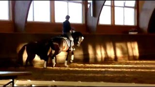 Video von Franz Ferdinand