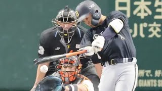 復帰即覚醒…太田が見せた“4番の意地”🔥⚾ケガ明けで衝撃の存在感！東京ドームがざわついた瞬間#プロ野球 #オリックス #巨人 #交流戦 #太田椋 #復帰戦 #東京ドーム #野球ハイライト #NPB