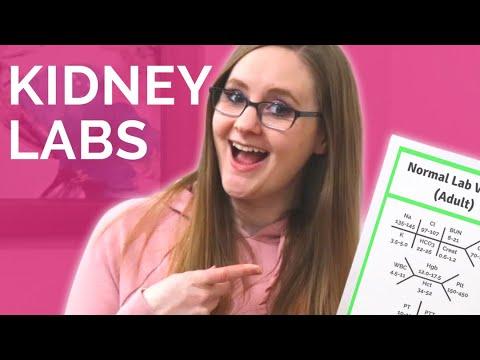 Kidney Lab Values | Glomerular Filtration Rate (GFR), Blood Urea Nitrogen (BUN), Creatinine