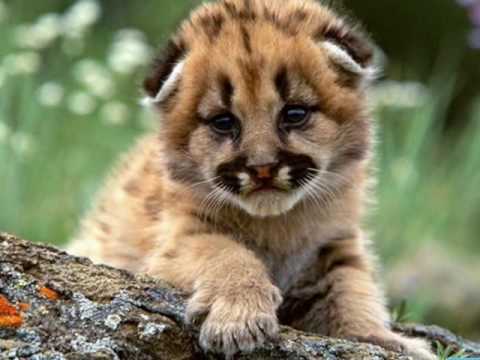 Как прекрасен этот мир, посмотри!