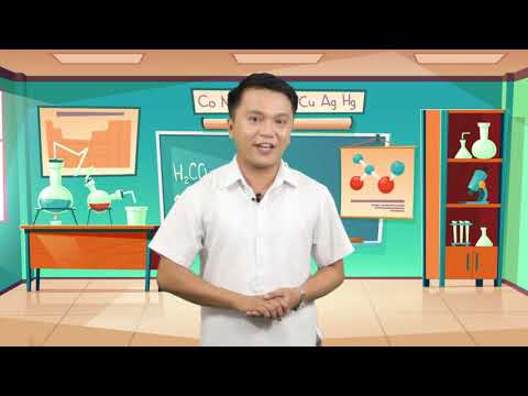 Science Grade 6 Q2 Ep 10: How Different Organ Systems Work Together