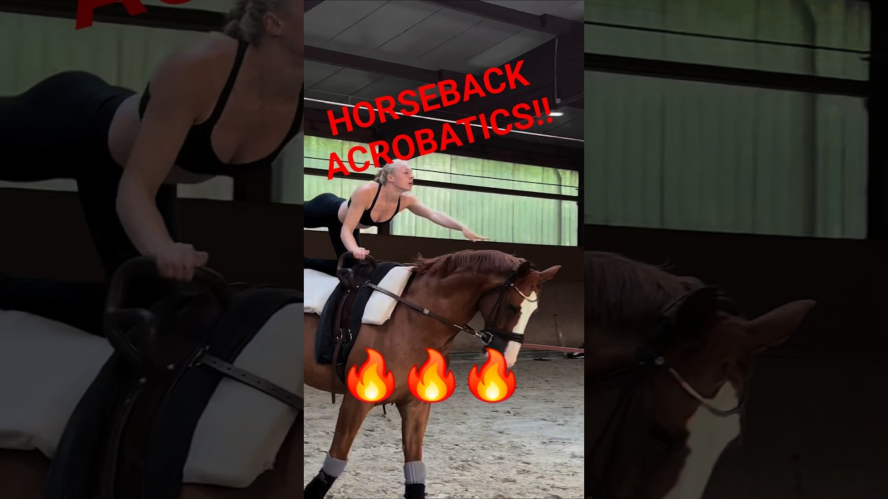 Horseback Acrobatics Training‼️🔥😍 #horseriding