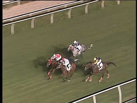 Galoppo 17/08/2019 - 5ª corsa