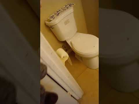 Hands On Home Cleaning Service LLC video.