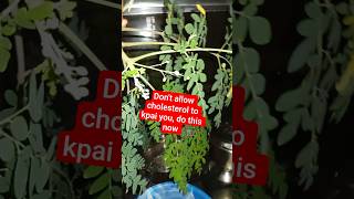 Download lagu so effective mp3