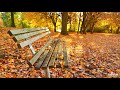 Vivaldi - Autumn (The Four Seasons)