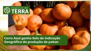 Miniatura do vídeo