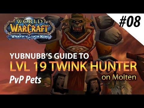 Yubnubbs Guide To LVL 19 Twink Hunter - Episode 08 Pets
