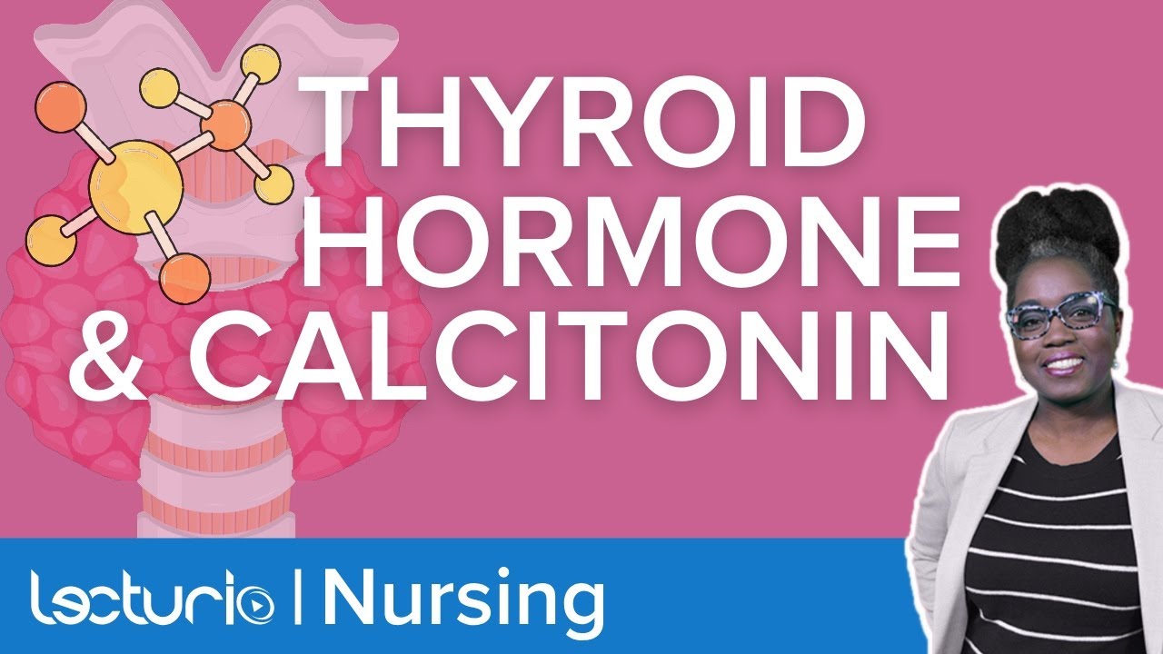 Thyroid Hormone and Calcitonin: How are they connected | Lecturio Nursing Physiology