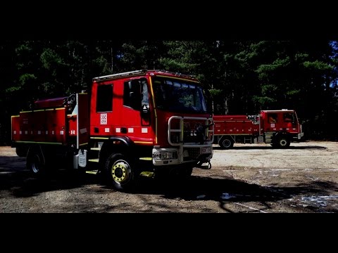 CAFS Level 1 Training