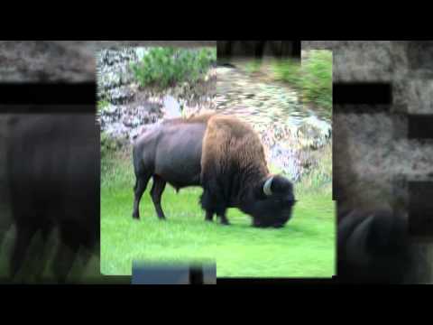 Box Elder, South Dakota Homes and Community