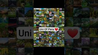 Download lagu https://youtube.com/shorts/BN3XaE2IYAQ?si=yKbSexRPoukyCTU7 mp3