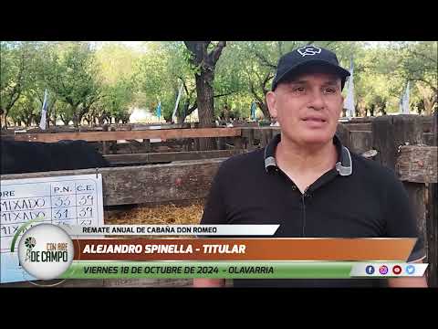 Alejandro Spinella  - Remate de Cabaña Don Romeo - Viernes 18/10/2024 - Olavarría
