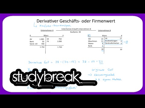 Derivativer Geschäftswert oder Firmenwert, Reinvermögen | Externes Rechnungswesen
