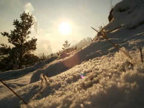 Haldo Project - Predestinated