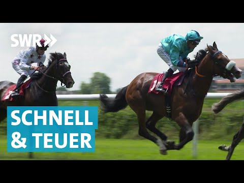 Pferderennen in Iffezheim – Viel Arbeit für Pferdewirt, Jockey und Co