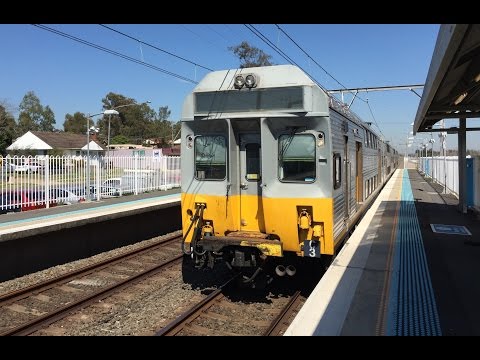 Sydney Trains Vlog 1150: Leumeah