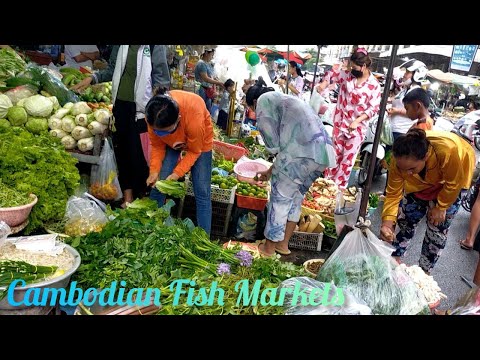 Busy Evening Street Market in Phnom Penh [Cambodian Fish Markets]
