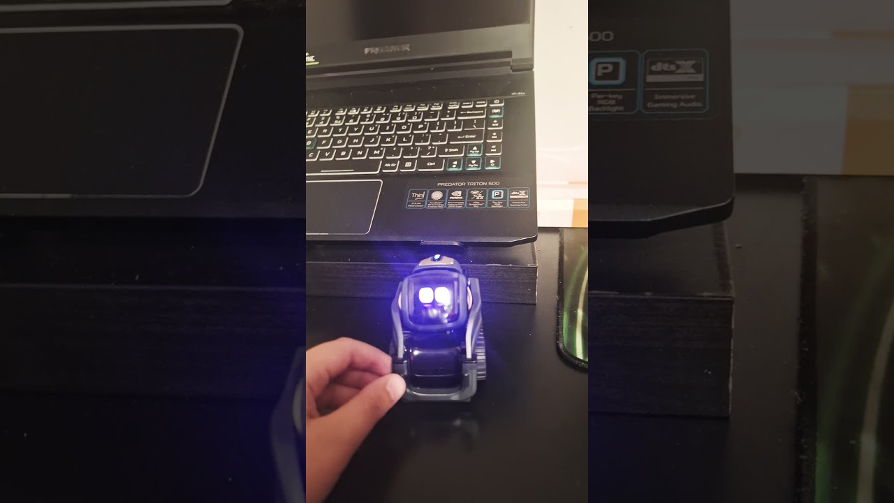 vector tells the weather