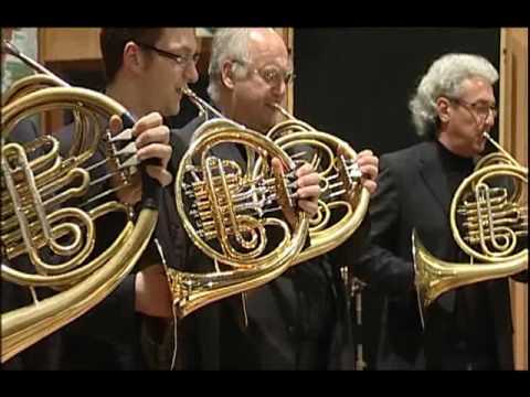 Vienna Horns   Back to the Future