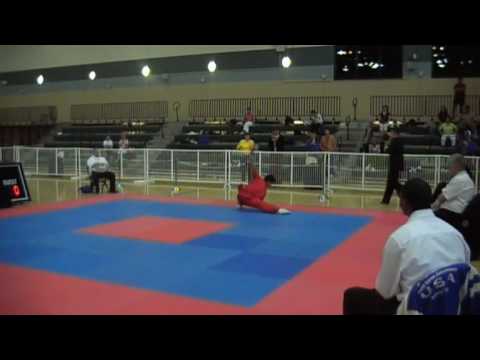 WKA WORLDS 2008 - USA - BRENDON HOUR - SOFT STYLE FORM