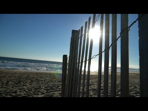 OBX Beach Report - 11/1/21 - Outer Banks This Week