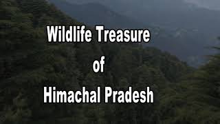 A documentary film on WILDLIFE TREASURE OF HIMACHAL PRADESH