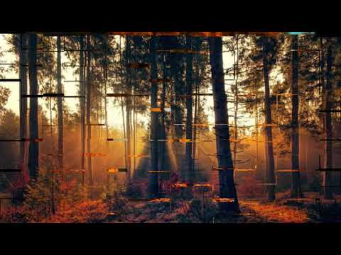 Yogi - Jeseň   sk. PUMA