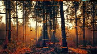 Video Jeseň   sk. PUMA