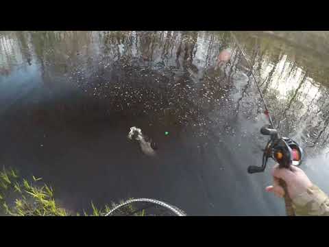 Trout Magneteilla kalastusta Nukarissa / Fishing with Trout Magnets