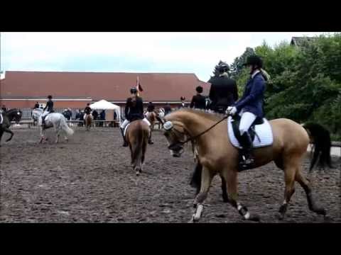 Westküstenturnier Marne 2016 - Eindrücke vom Abreiten & Prüfung + Bericht