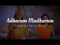 Adharam Madhuram (Slowed+Reverbed) | Radhakrishna Slowed and Reverbed Song ♥️🌍