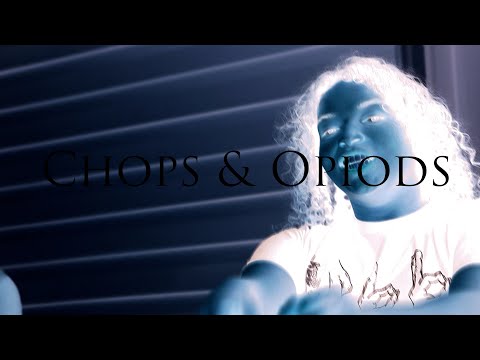 Ceo Stew ft Big Punch -Chops & Opioids (Official Music Video) @313leeproduction