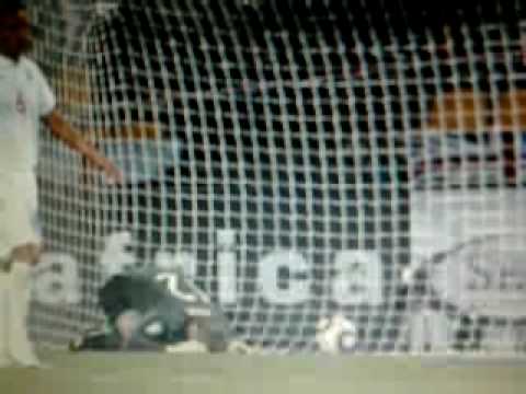 rob green own goal 2010 world cup.