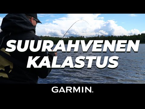 ISON ahvenen kalastus | Saimaalta AHVENTA
