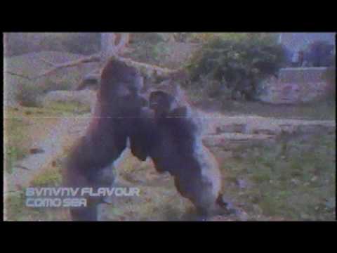 Fake Cluv Present: WELCOME EP [22/06/17]