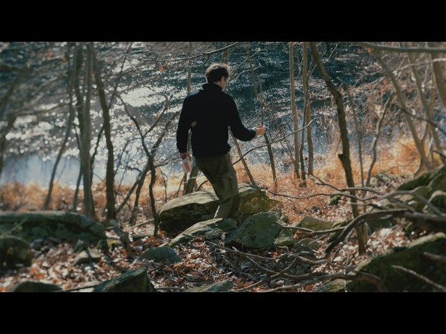 Judge.me YouTube video placeholder