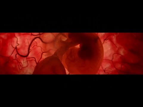 Silvio Vincent x MXP - Zurück