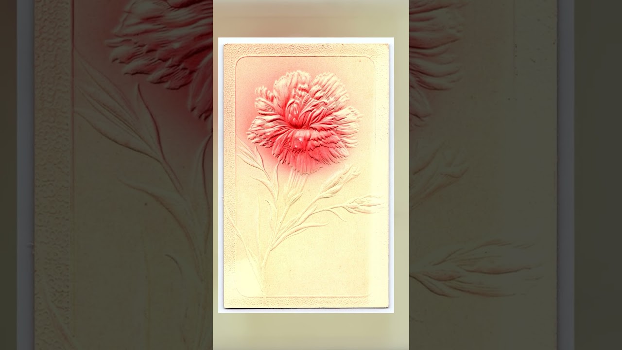 Embossed Flower Postcard, Mount Vernon SD, 1910 Video