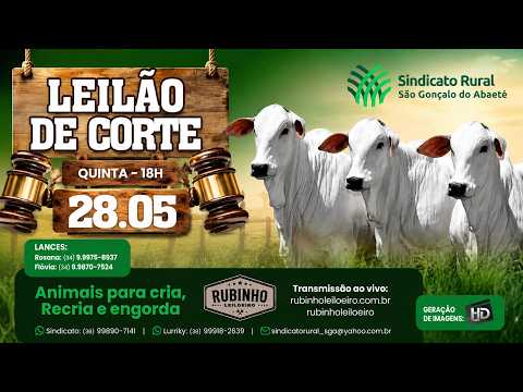 LEILÃO MISTO - SINDICATO RURAL DE SÃO GONÇALO DO ABAETÉ
