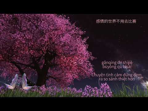 Người kế nhiệm 后继者 – Nhậm Nhiên 任然 /Vietsub/