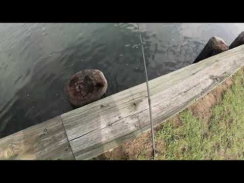 Fluke / Flounder Fishing from shore. Tropical storms, made fluke fishing tough for me. NBR Ep  21.