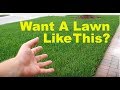 View 28 Lawn Care Tips