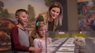 Video Screenshot for Meet the Seifert Family