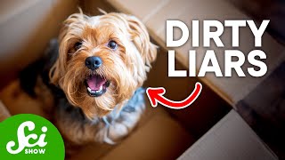 7 Animals That Can't Be Trusted