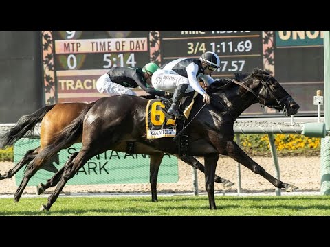 ANISETTE (Umberto Rispoli) - G1 Gamely Stakes 2024