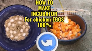BEST Incubator For Chicken Eggs With 100% Efficiency How to make incubator at home easy and hatch